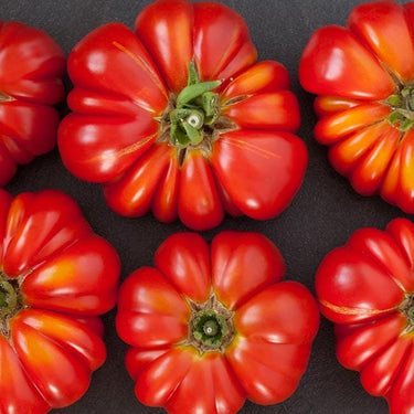 German Johnson Tomato Seeds - The Pepper Pantry (Formerly Marie Sharp's)